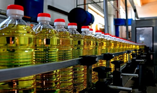 2021年11月食用油機械設備行業熱點聚焦 創新驅動與市場新機遇