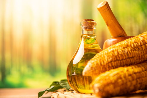 廚房里的視覺藝術 玻璃壺與食用油的攝影之美