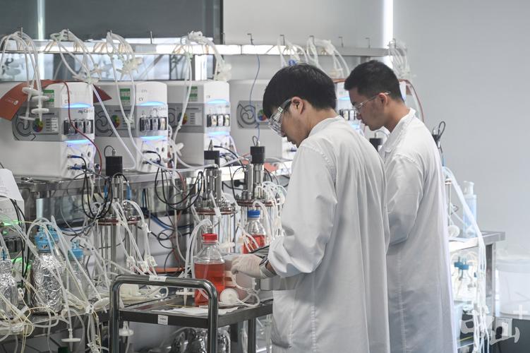 國(guó)產(chǎn)抗癌藥登頂全球之巔 中山藥企迎來生物技術(shù)行業(yè)的“DeepSeek時(shí)刻”