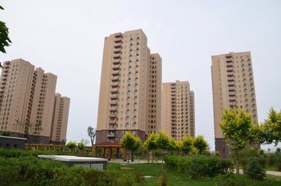 如何查詢房地產經紀人員的從業資質？